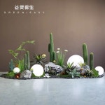 Ghim trên 플랜테리어