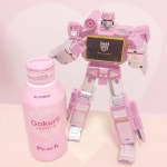 전주 덕진공원 홍련꽃