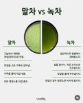 신장에서 독소를 제거하는 방법 - 건강을 위한 발걸음