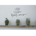 #캘리그라피 #영문캘리