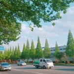 가로수길