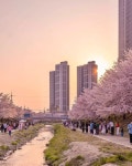 천안