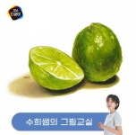기초수채화 기초수채화 - Google 검색 | 종이 질감, 수채화, 그림
