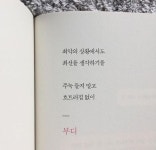 364.좋은글귀..📚 난 편안한 사람이 되고 싶지, 만만한 사람이 되고 싶지는 않아.