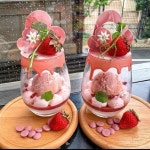 라즈베리 샤베트