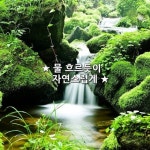 흐르는 물