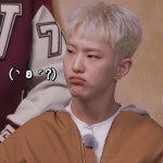 humor/memes에 있는 Joscelia Teixeira님의 핀 - 2023 | 세븐틴, 밈, 웃긴