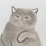 별냥이제작소 그림 on Instagram: . 가을을 닮은 아가야 가을을 따라 어디 가지는 말거라 #별냥이제... 