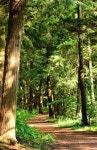 Pin page Pin by 자연지기 on 파주숲 | Beautiful scenery nature, Beautiful nature, Nature photography