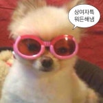 Pin by ed on 그냥다귀찮아 | Cute stickers, Learn korean, Reaction pictures