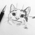 kitten #chommang #그림 #드로잉 #스케치 #일러스트 #연필드로잉 #고양이그림 #고양이 #조맹 Pin on My Drawing (Chommang)