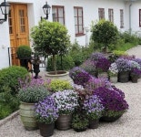 * 선큰 스트라이프 공원 [ Chyutin Architects ] BGU University Entrance Square