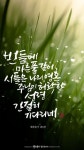 물댄동산 캘리그라피