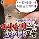 자기야
