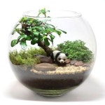 •플랜테리어 Terrarium 으로 나만의 아늑한 실내정원 만들기!