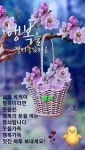 Morning greeting에 있는 Sara(yeyoung) Jung님의 핀 | 새해 카드 디자인, 아침 인사, 좋은 아침 인사