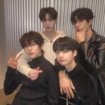 태선