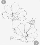 / 기초소묘, 연필드로잉, Basic pencil drawing 원리를 이해하면 스케치가 정확해 집니다. / 기초소묘, 연필드로잉, Basic... 