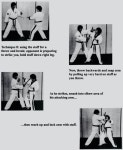 Pin by Tai Cooper-Small on Hapkido (합기도) | Martial arts, Aikido, Karate