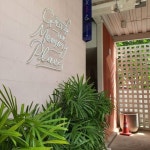 룸피니 공원의 꽃들