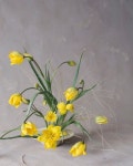 어울링아뜰리에 플라워스튜디오 🇰🇷 | Flower Studio in South Korea