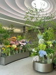 중구 퇴계로 100 스테이트타워남산 I N T E R S C A P E Interior designer meets Plants “공간디자이너의 플랜테리어. 공간을 분석하여... 