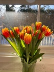 Pin page Orchid  arrangements에 있는 Juyeon Kim님의 핀 - 2025