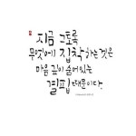 [명언 캘리그라피] 잊고 있을 뿐 / 캘리그라피 책 이벤트