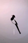 한글에 있는 인덕 이님의 핀 | 붓글씨, 서체, 손글씨