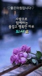 일요일 아침 인사 이미지 | 그림자 사진, 좋은 아침 인사, 좋은 글
