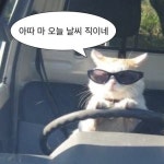 짤에 있는 Seon_park님의 핀 | 웃긴 밈, 재미있는 이모티콘, 재미있는 디즈니 밈