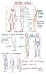 Pin page Pin by oo o on 사무실크로키 | Taco drawing, Human anatomy drawing, Figure drawing reference