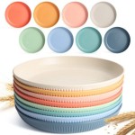 Top 10 melamine dinner plates ideas and inspiration