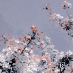 주식회사 슈퍼브