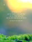 마음수련 우명 선생의 책 // 한국어