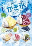 [펜션] 스파펜션&온수풀빌라 / #온천 #야외 #풀빌라 #스파