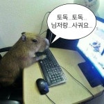 넷상연애