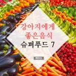 강아지 마사지 필요한이유와 좋은점 6가지 | 2025 펫리코 강아지 마사지 필요한이유와 좋은점 6가지 - 펫리코Petrico | 강아지, 마사지, 애견