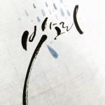 프리저브드 플라워 캘리 액자 - 가든플라워 군포 사랑하는 사람, 고마운 사람에게 마음을 표현을 하세요. 프리저브드플라워로 구성되어있습니다.... 