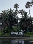제주 드로잉 jeju drawing 일러스트 제주 드로잉 jeju drawing 일러스트 | 여행, 일러스트레이션, 그래픽