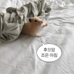 이모티콘 대 방출1 jmjj21c님의 블로그 | Hello kitty, Emoticon, Kitty