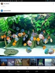 Top 10 수족관 물고기 ideas and inspiration