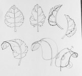 Pin page Pencil에 있는 Erin ONeill Argueta님의 핀 | 아크릴 그림 캔버스, 초보 그림 그리기, 나무 예술