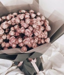 Pin page Flowers에 있는 Ghada Moustafa님의 핀 | 꽃다발, 꽃다발 포장, 꽃 꽃다발