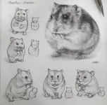 Pin page 🏠[대구]쟁이화실.권오군🎨그림좋아하는 그림쟁이 on Instagram: #소묘#달팽이 | Hyperrealistic art, Graphite... 