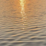 솔꾸 @ss___o1 씨가 선물해준 @sol9_official 네 안경 이제야 올려보기... mine 제품 ෆ #안경 #안경추천 #안경코디 #슬리브리스 #블라우스... 