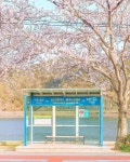 서울여대 정문 앞 버스 정류장 / A bus stop near the main gate of Seoul Womens U 서울여대 정문 앞 버스 정류장 / A bus stop near... 