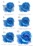 칼라인물화_디지털페인팅 - artmaul 캐리커쳐와 인물화가 있는 아트마을 | Watercolor portrait painting, Watercolor portraits... 