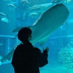 #도영 #DOYOUNG #ドヨン #โดยอง #도영 #DOYOUNG #ドヨン #โดยอง | Nct doyoung, Nct 127 members, Nct