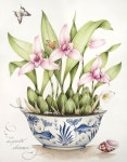 Pin page Pin von Jihyun Chung auf 민화그리기